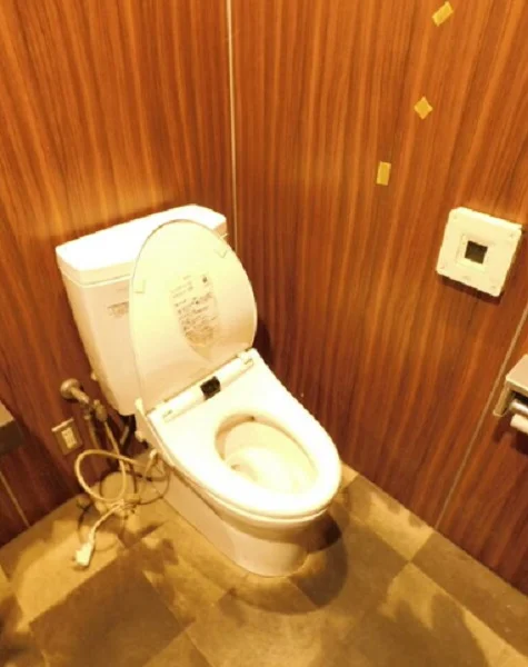 大山のスケルトン物件のその他