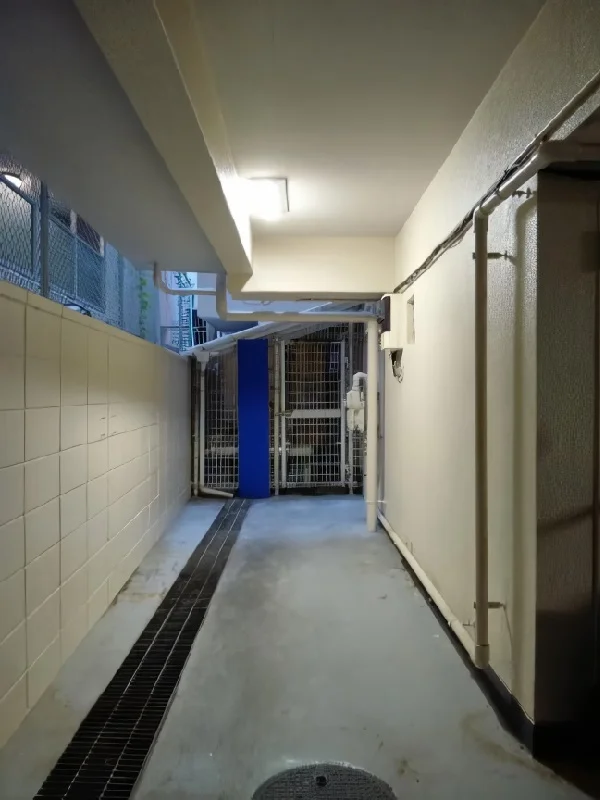 若松河田のスケルトン物件のその他