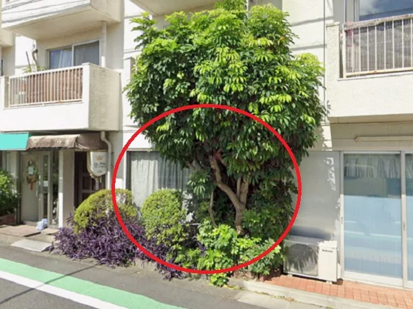 貸店舗(事務所仕様)の外観