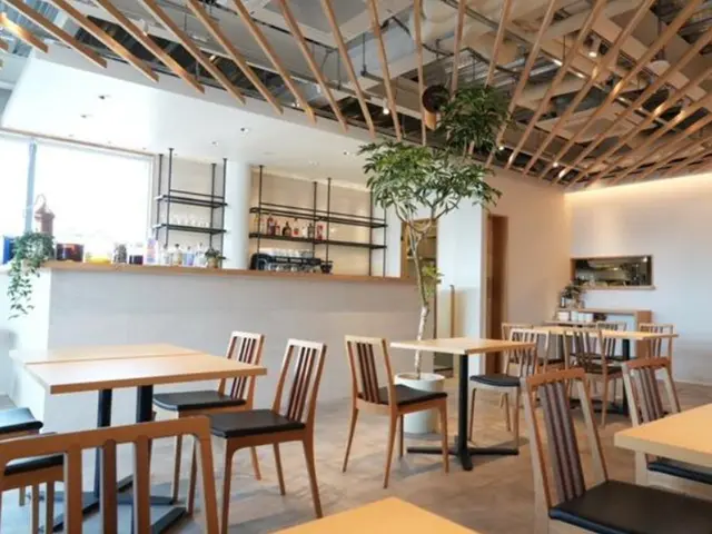 藤沢の居抜き店舗の内装