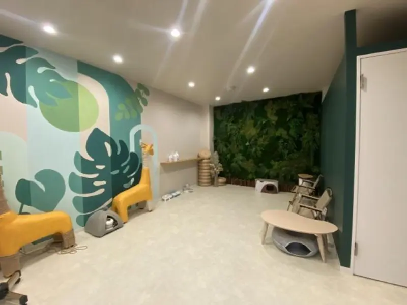 代官山のカフェ・喫茶店居抜きの内装