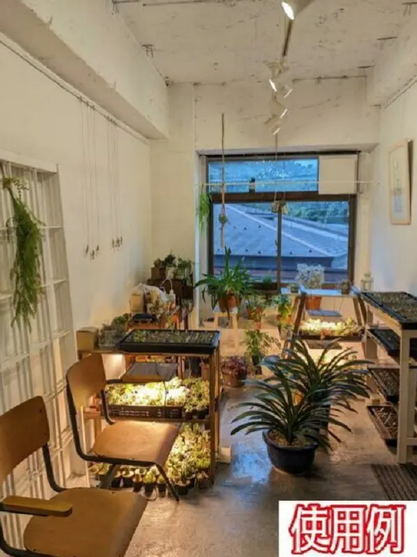 井の頭公園の事務所仕様店舗物件の内装