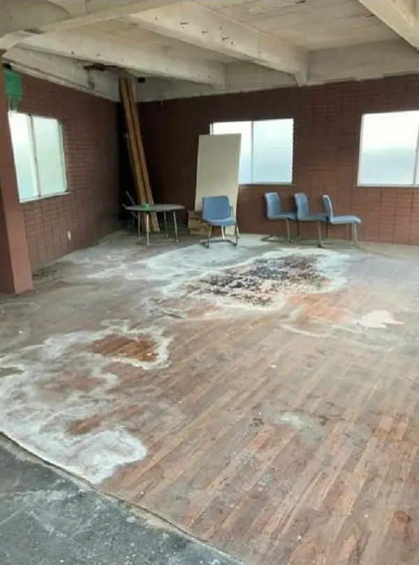 下丸子のスケルトン物件の内装